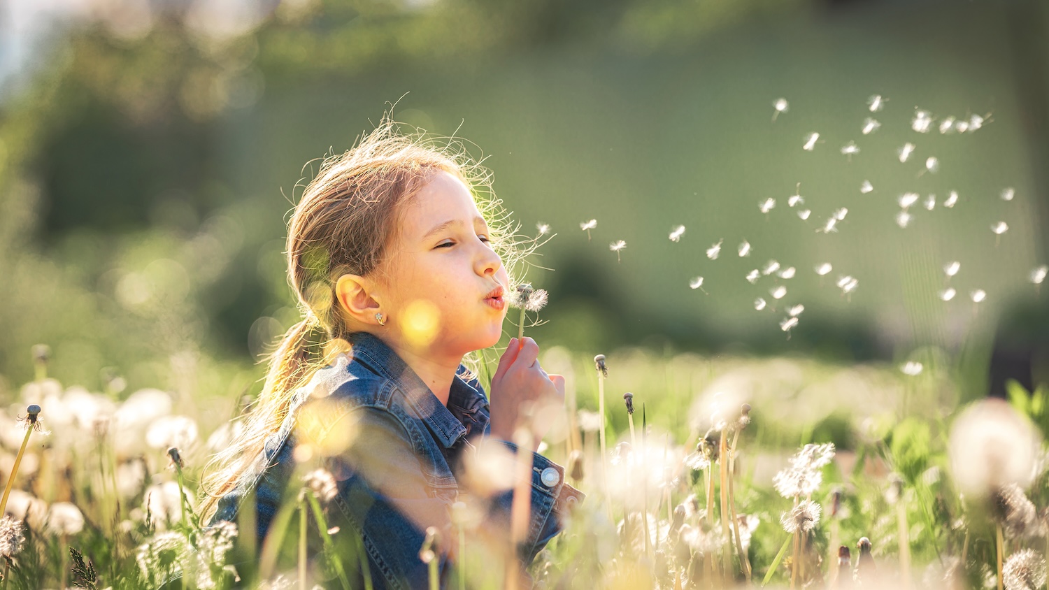 hvac cleaning montreal and laval
